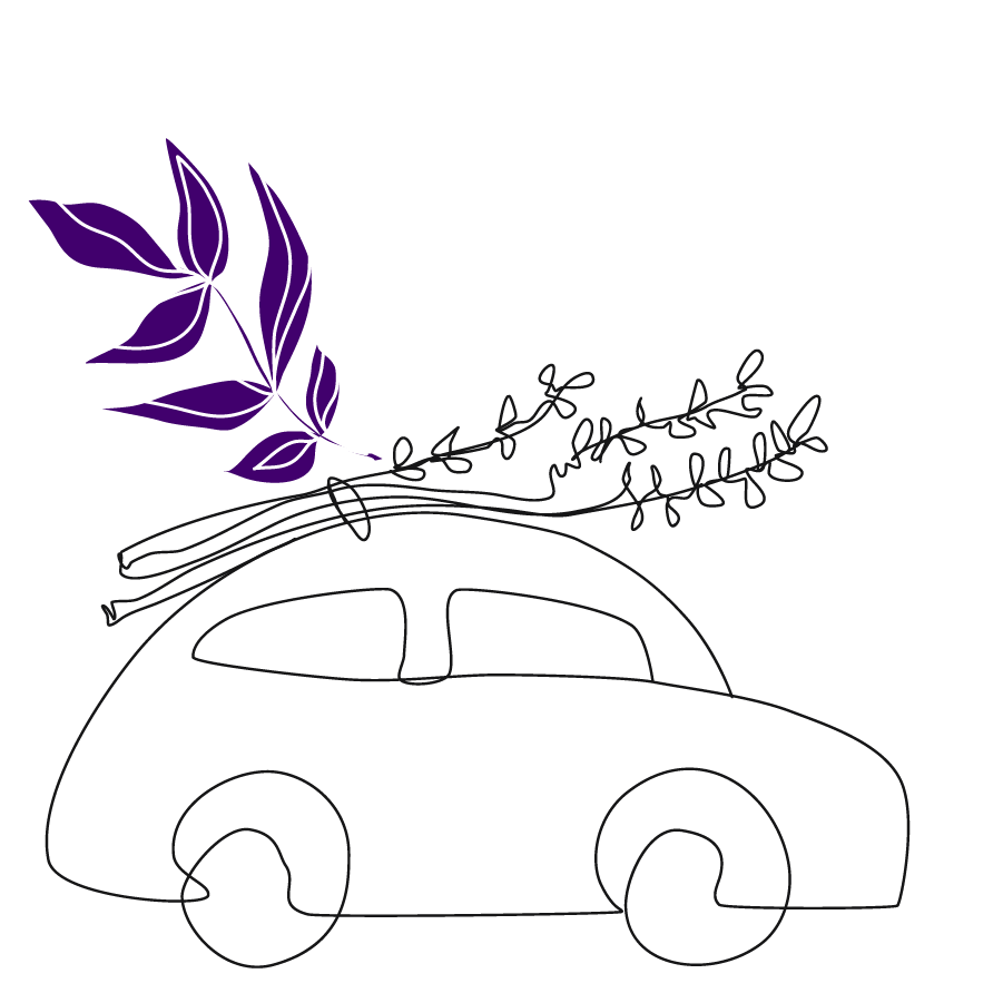 Graphic of wedding car with purple flowers on the roof